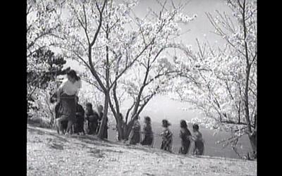 二十四只眼睛剧照的剧照