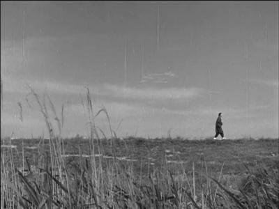 二十四只眼睛剧照的剧照