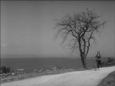 二十四只眼睛剧照的剧照