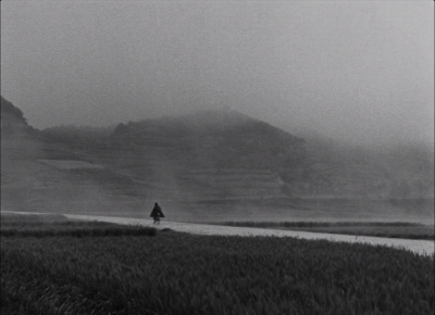 二十四只眼睛剧照的剧照