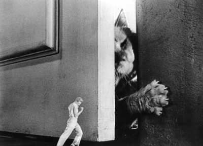 不可思议的收缩人剧照的剧照