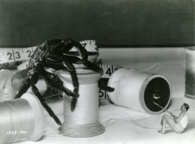 不可思议的收缩人剧照的剧照