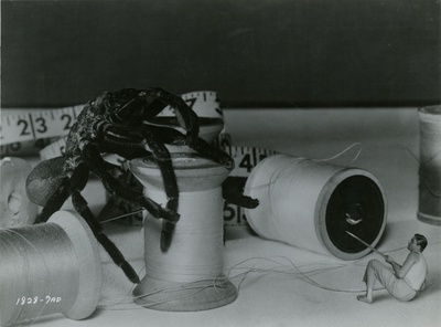 不可思议的收缩人剧照的剧照