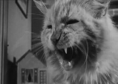 不可思议的收缩人剧照的剧照