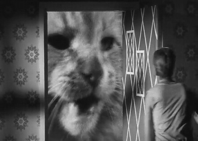 不可思议的收缩人剧照的剧照