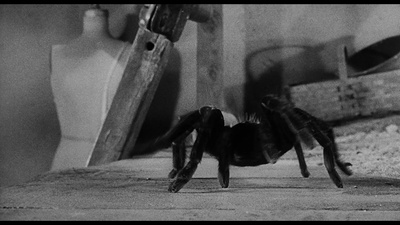 不可思议的收缩人剧照的剧照