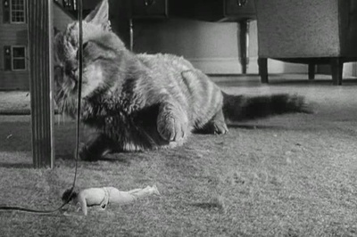 不可思议的收缩人剧照的剧照