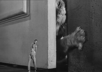 不可思议的收缩人剧照的剧照