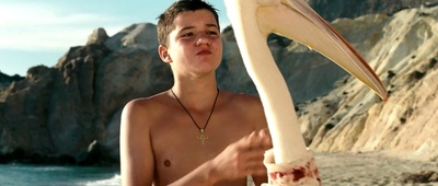 男孩与鹈鹕剧照的剧照