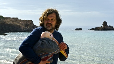 男孩与鹈鹕剧照的剧照