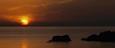 男孩与鹈鹕剧照的剧照