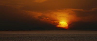 男孩与鹈鹕剧照的剧照