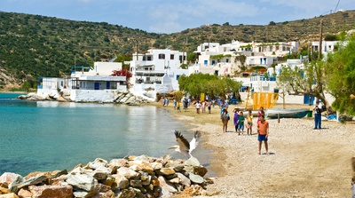 男孩与鹈鹕剧照的剧照