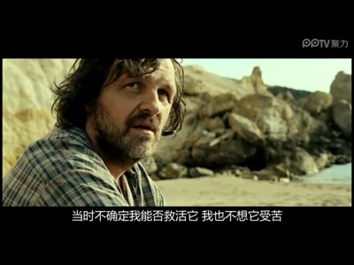 男孩与鹈鹕剧照的剧照