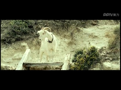 男孩与鹈鹕剧照的剧照