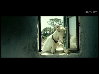 男孩与鹈鹕剧照的剧照