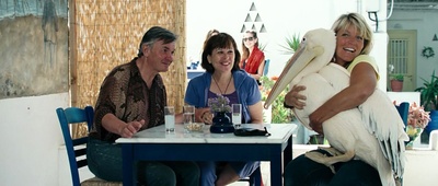 男孩与鹈鹕剧照的剧照