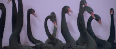 圣山剧照的剧照