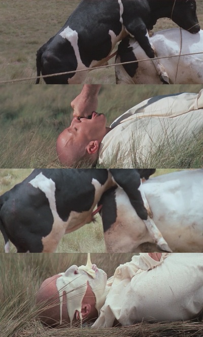 圣山剧照的剧照