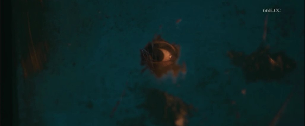 二次曝光剧照的剧照