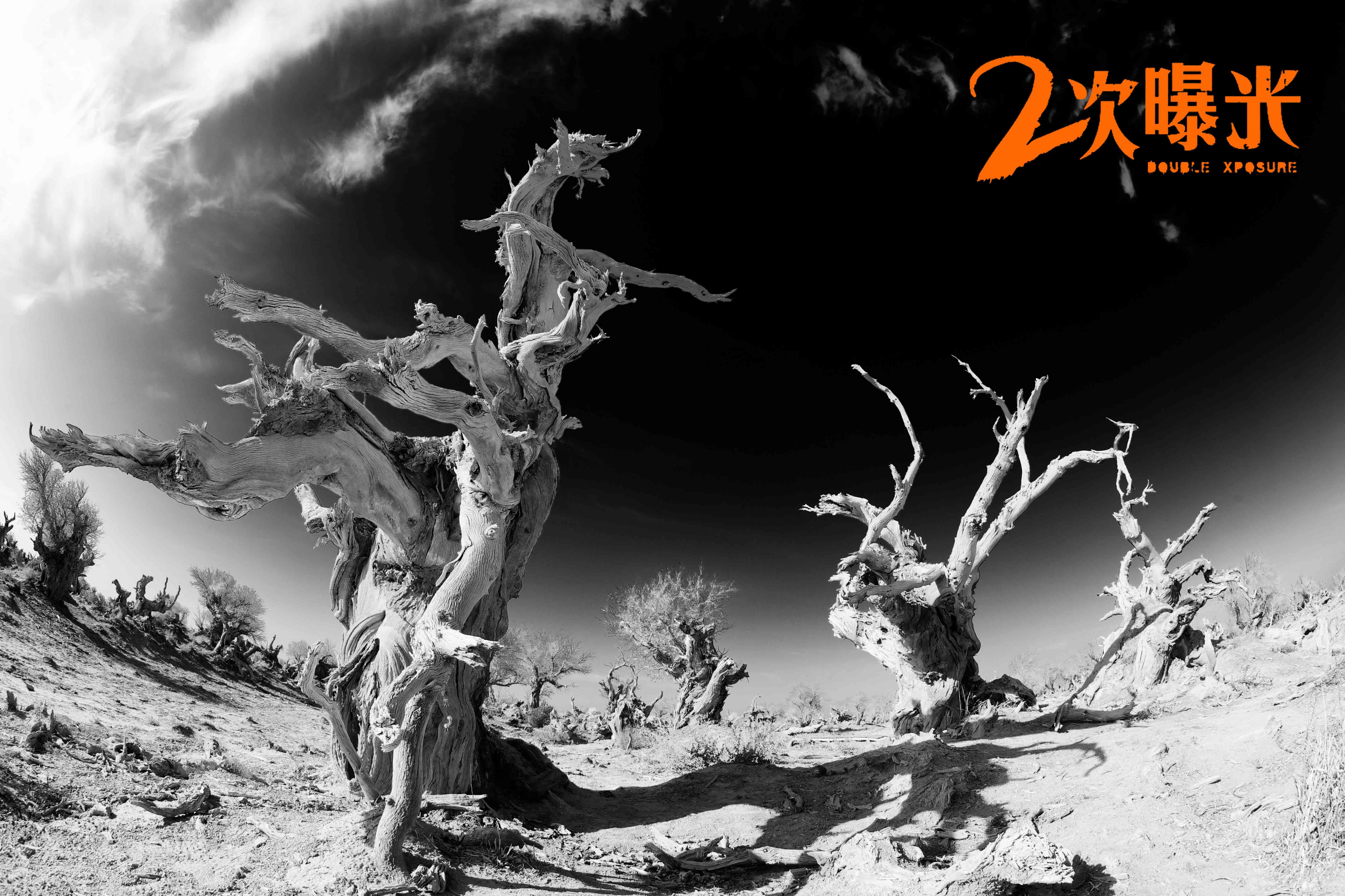 二次曝光剧照的剧照