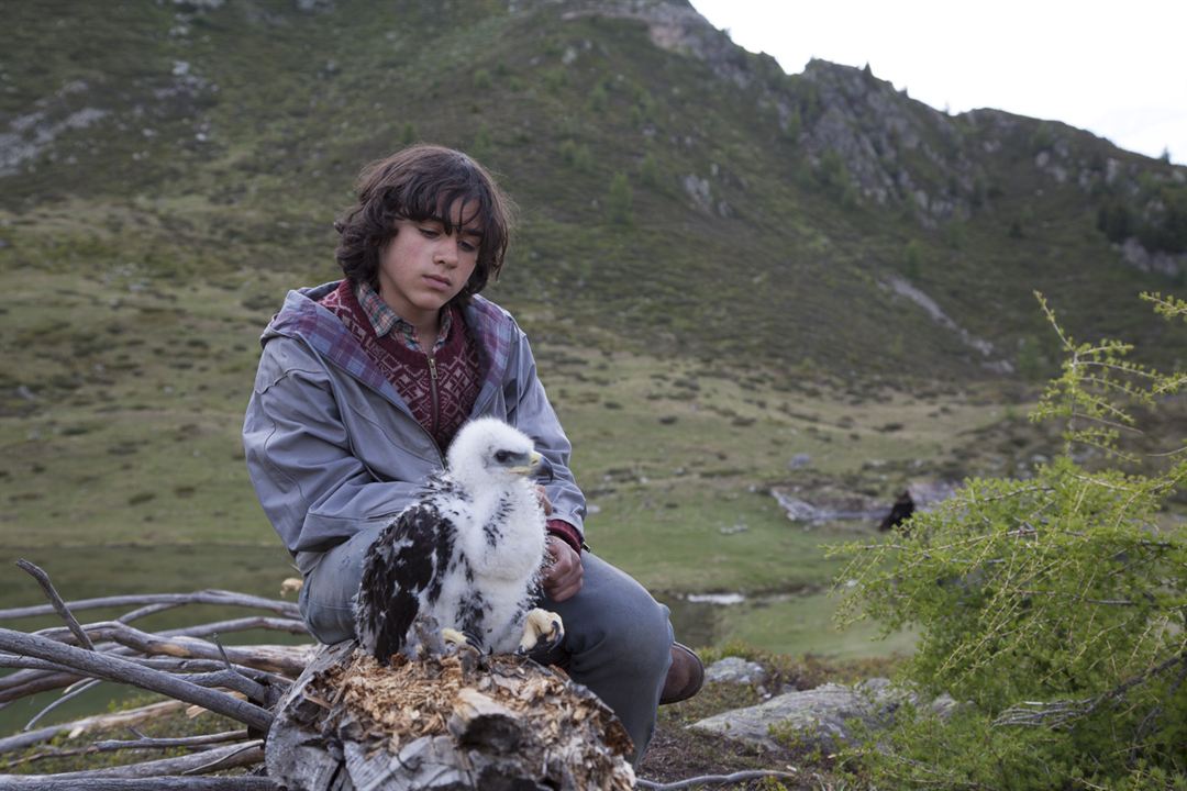 鹰之路剧照的剧照