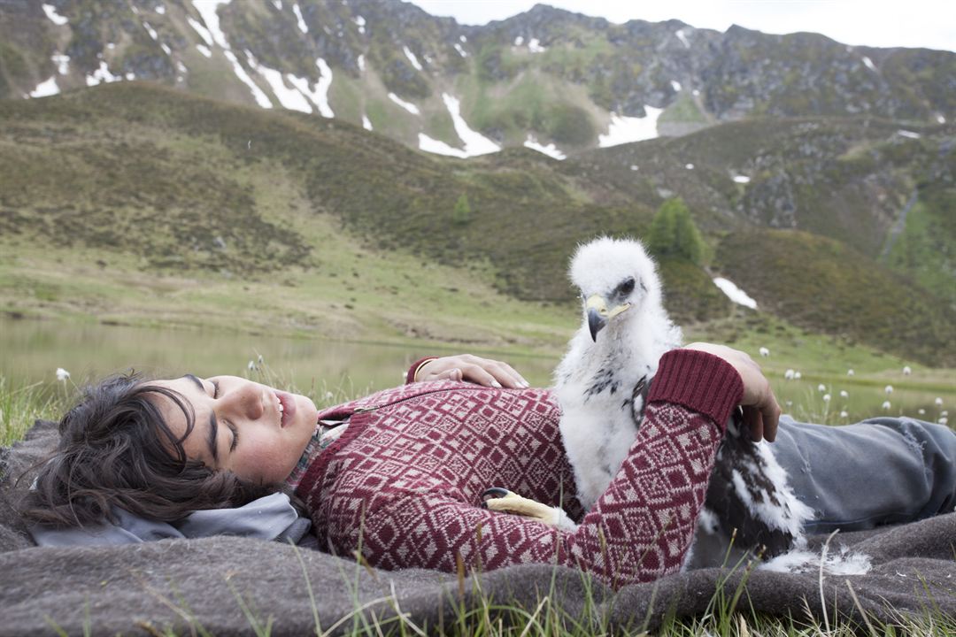 鹰之路剧照的剧照