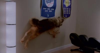 性爱录像带剧照的剧照