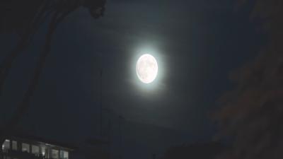 完美陌生人剧照的剧照