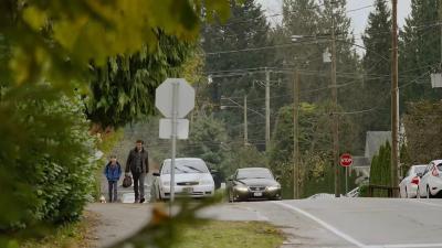 欢闹父子情剧照的剧照