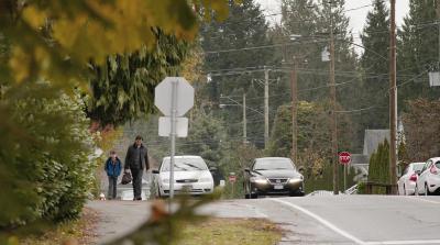 欢闹父子情剧照的剧照