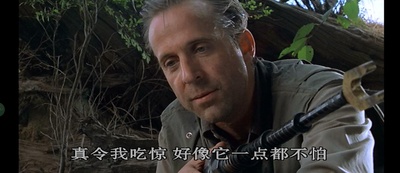 侏罗纪公园2：失落的世界剧照的剧照