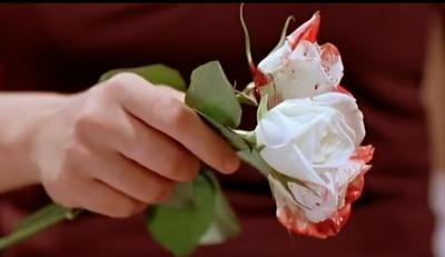 国产凌凌漆剧照的剧照