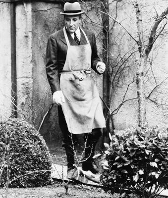 富贵逼人来剧照的剧照