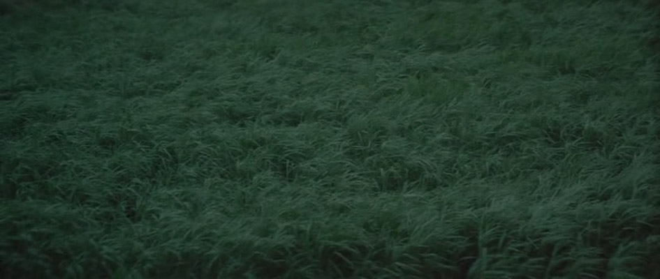 诸神的欲望剧照的剧照