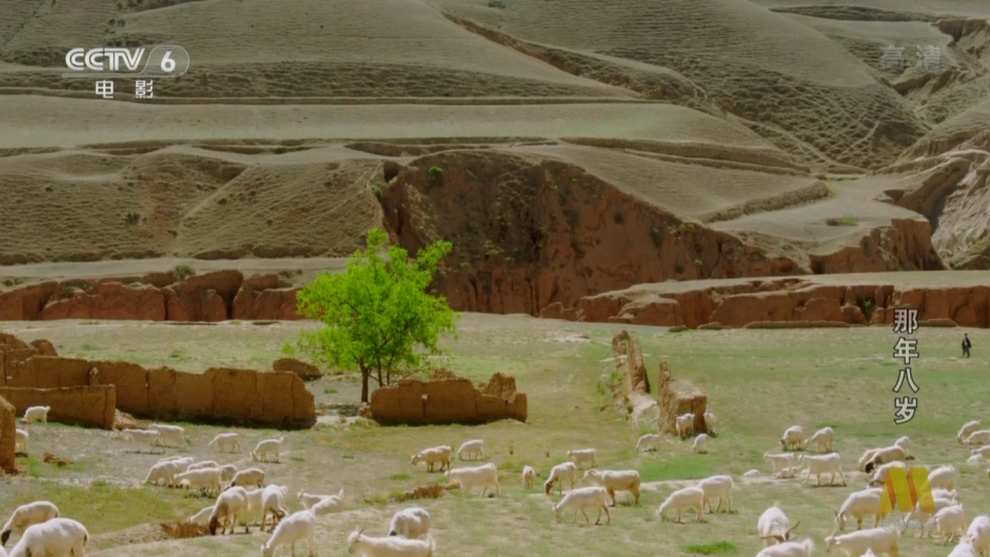 那年八岁剧照的剧照