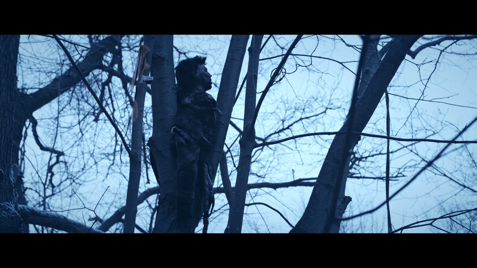 漆黑如夜剧照的剧照