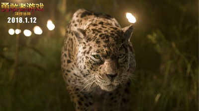 勇敢者游戏：决战丛林剧照的剧照