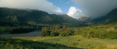 勇敢者游戏：决战丛林剧照的剧照