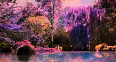 天堂奇迹剧照的剧照