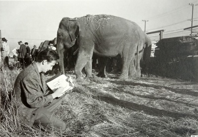 小飞象剧照的剧照