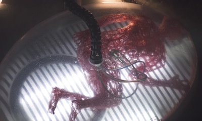 逃出克隆岛剧照的剧照