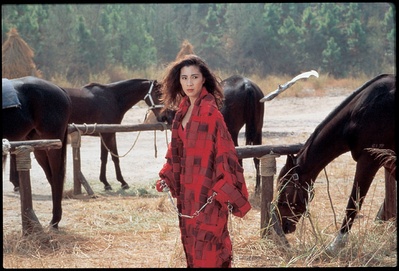 东方三侠剧照的剧照