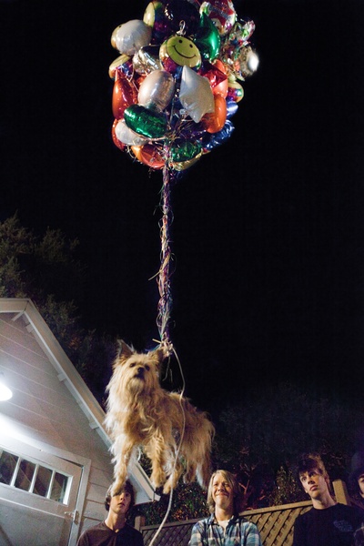 X计划剧照的剧照