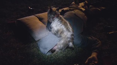 X计划剧照的剧照