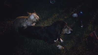 X计划剧照的剧照