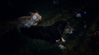 X计划剧照的剧照