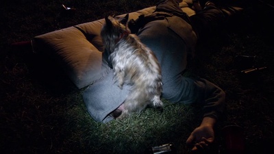 X计划剧照的剧照