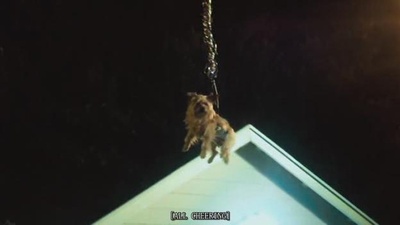 X计划剧照的剧照