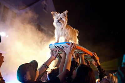 X计划剧照的剧照